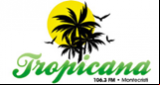 Tropicana 106