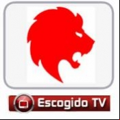 Escogido tv
